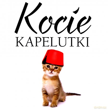 Kocie kapelutki [KSIĄŻKA]