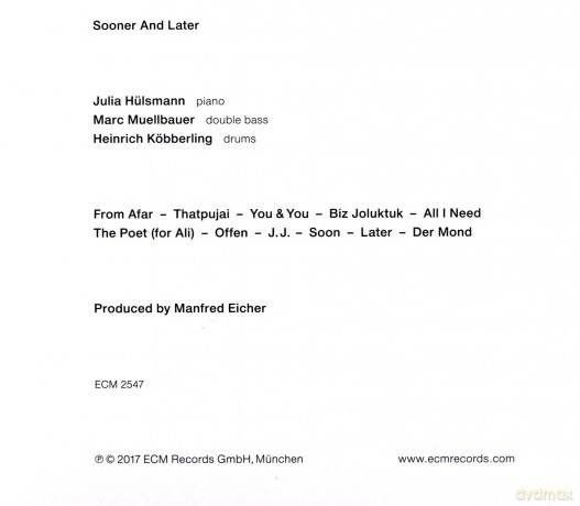 Julia Hulsmann Trio: Sooner And Later [CD]