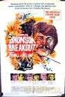 Brawurowe porwanie [DVD]