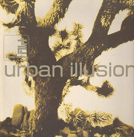The Funky Lowlives: Urban Illusion [Winyl]