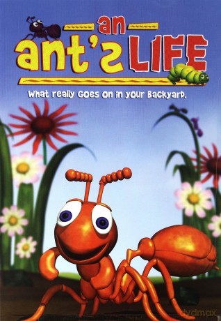An Ant's Life [DVD]