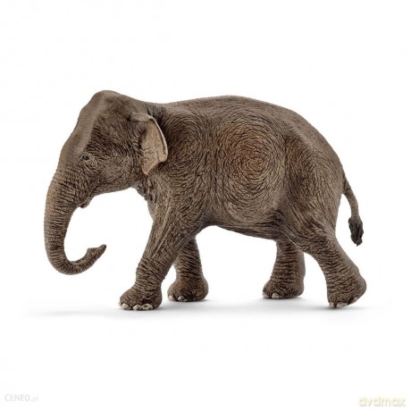 Schleich Azjatycka Słonica [FIGURKA]