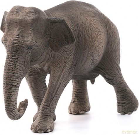 Schleich Azjatycka Słonica [FIGURKA]