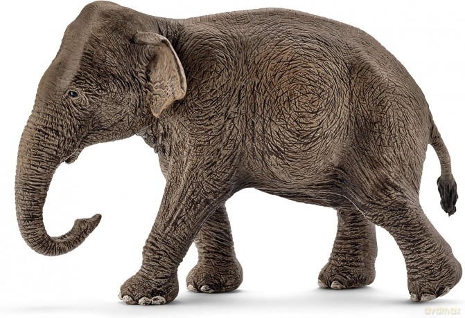 Schleich Azjatycka Słonica [FIGURKA]