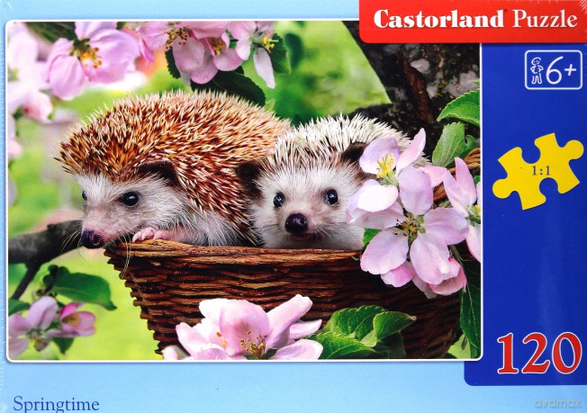 CASTOR 120 el. Jeże wiosną [PUZZLE]