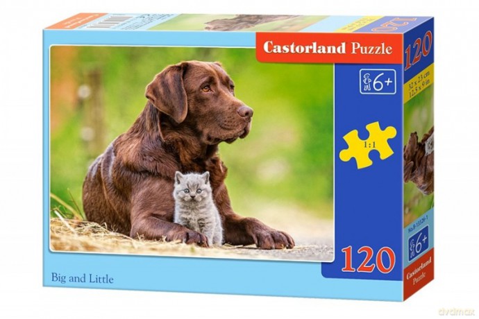 CASTOR 120 el. Pies z kotkiem [PUZZLE]