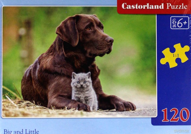 CASTOR 120 el. Pies z kotkiem [PUZZLE]