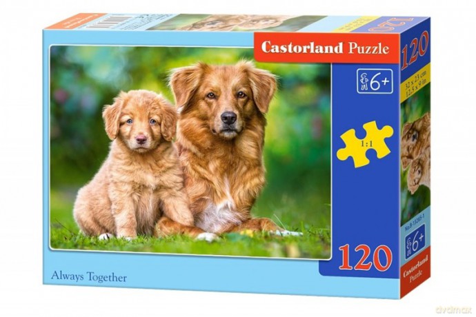 CASTOR 120 el. Pieski - zawsze razem [PUZZLE]