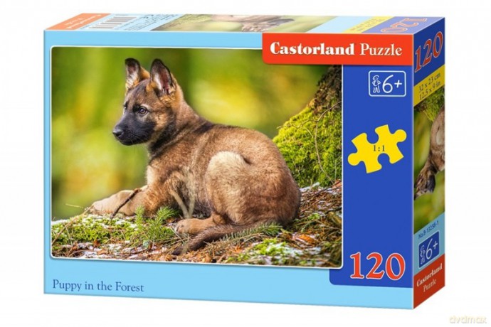 CASTOR 120 el. Szczeniak w lesie [PUZZLE]