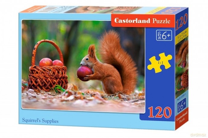 CASTOR 120 el. Zapasy wiewiórki [PUZZLE]