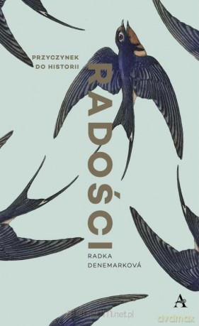 Przyczynek do historii radości - Radka Denemarkov [KSIĄŻKA]