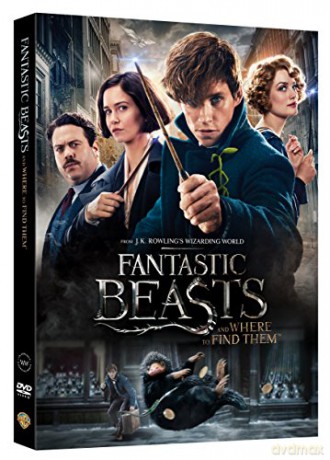 Fantastic Beasts and Where To Find Them (Fantastyczne zwierzęta i jak je znaleźć) [DVD]