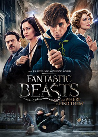 Fantastic Beasts and Where To Find Them (Fantastyczne zwierzęta i jak je znaleźć) [DVD]