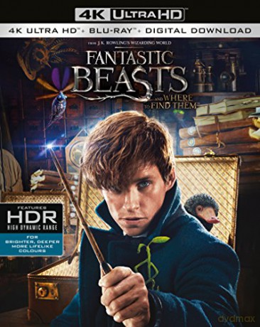 Fantastic Beasts and Where To Find Them (Fantastyczne zwierzęta i jak je znaleźć) [Blu-Ray 4K]+[Blu-Ray]