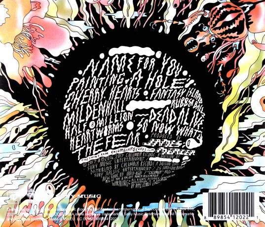 The Shins: Heartworms [CD]