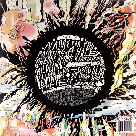 The Shins: Heartworms [Winyl]