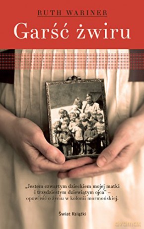 Garść żwiru [KSIĄŻKA]