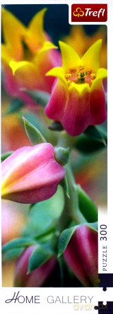 TREFL 300 el. Home Gallery - Kwiaty w rozkwicie (75005) [PUZZLE]
