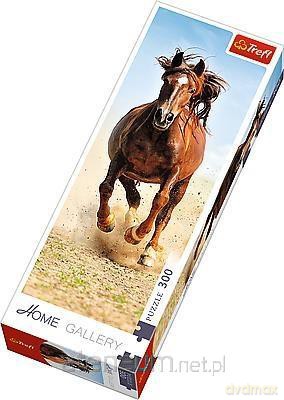 TREFL 300 el. Home Gallery - Tęten kopyt (75004) [PUZZLE]