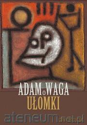 Ułomki - Adam Waga [KSIĄŻKA]