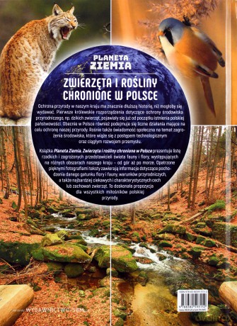 Zwierzęta i rośliny chronione w Polsce. Planeta Ziemia - Karolina Matoga [KSIĄŻKA]