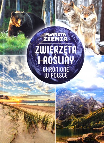 Zwierzęta i rośliny chronione w Polsce. Planeta Ziemia - Karolina Matoga [KSIĄŻKA]
