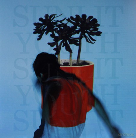 Local Natives: Sunlit Youth [Winyl]