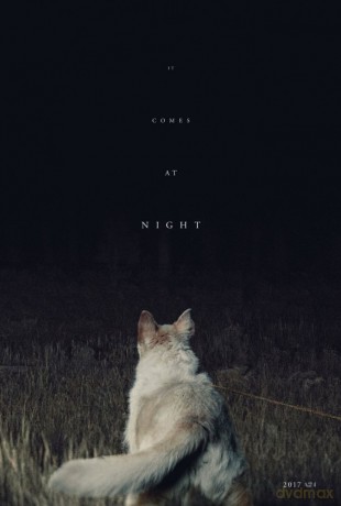 It Comes at Night soundtrack [CD]
