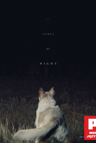 It Comes at Night [Blu-Ray]