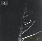 Peter Broderick: (Colours Of The Night) Satelli [2xWinyl]