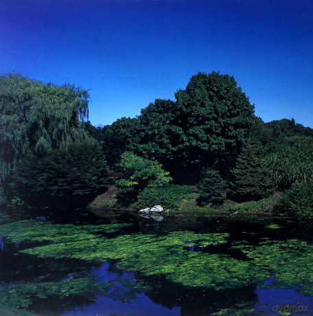 Shellac: Terraform [Winyl]