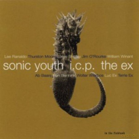 Sonic Youth + I.C.P + The Ex: In The Fishtank 9 [Winyl]