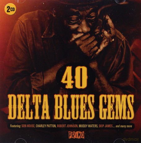40 Delta Blues Gems [2CD]