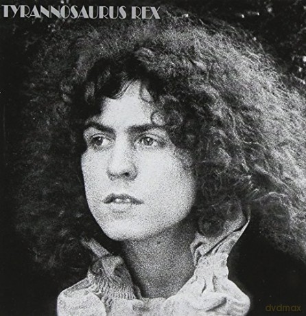 T-Rex: A Beard Of Stars [CD]