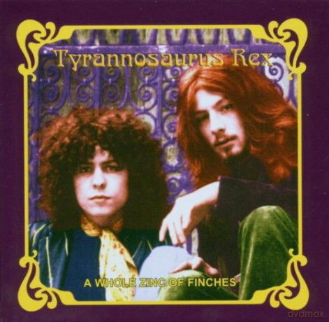 Tyrannosaurus Rex: A Whole Zinc Of Finches [5CD]+[DVD]