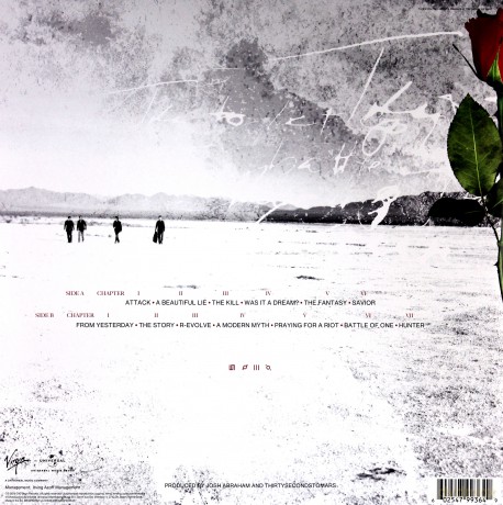 Thirty Seconds To Mars: A Beautiful Lie [Winyl]