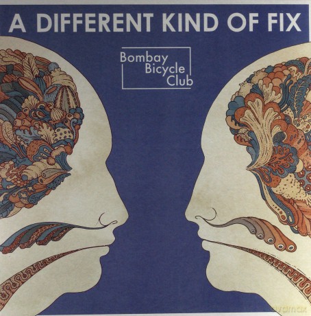 Bombay Bicycle Club: A Different Kind Of Fix [Winyl]