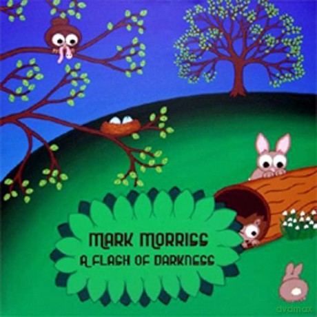 Mark Morriss: A Flash Of Darkness [Winyl]