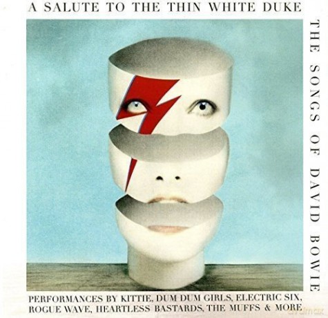 A Salute To The Thin White Duk [Winyl]