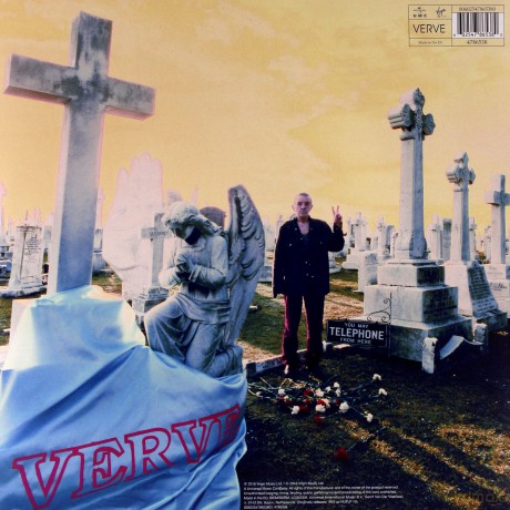 The Verve: A Storm In Heaven [Winyl]