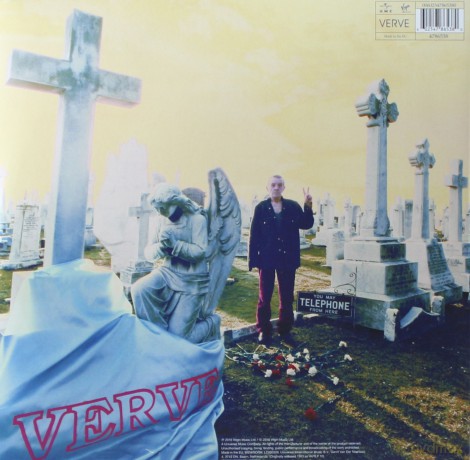 The Verve: A Storm In Heaven [Winyl]