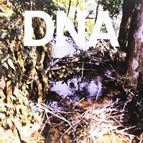 Dna: A Taste Of Dna [Winyl]