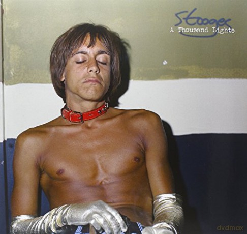 The Stooges: A Thousand Lights [Winyl]