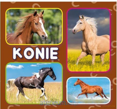 Harmonijka mała. Konie [KSIĄŻKA]