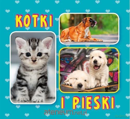 Harmonijka mała. Kotki i pieski [KSIĄŻKA]