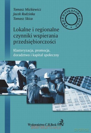Lokalne i regionalne czynniki wsparcia przedsiębiorczości - Tomasz Mickiewicz, Jacek Rodzinka, Tomasz Skica [KSIĄŻKA]