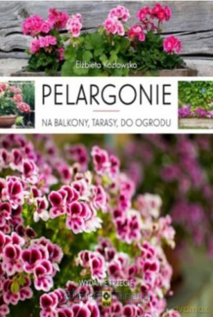 Pelargonie na balkony, tarasy i do ogrodu - Elżbieta Kozłowska [KSIĄŻKA]