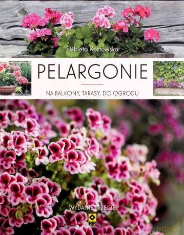 Pelargonie na balkony, tarasy i do ogrodu - Elżbieta Kozłowska [KSIĄŻKA]