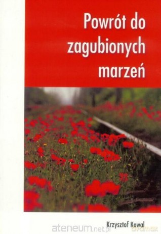 Powrót do zagubionych marzeń [KSIĄŻKA]