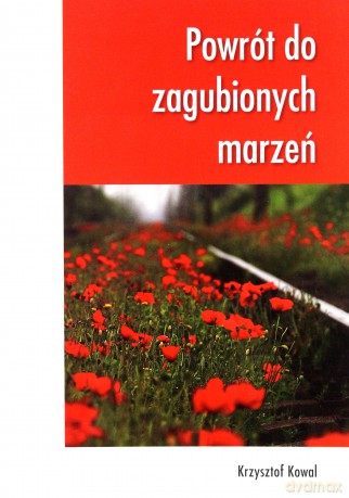 Powrót do zagubionych marzeń [KSIĄŻKA]